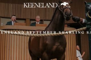 Keeneland September Yearling Sale Catalog image.